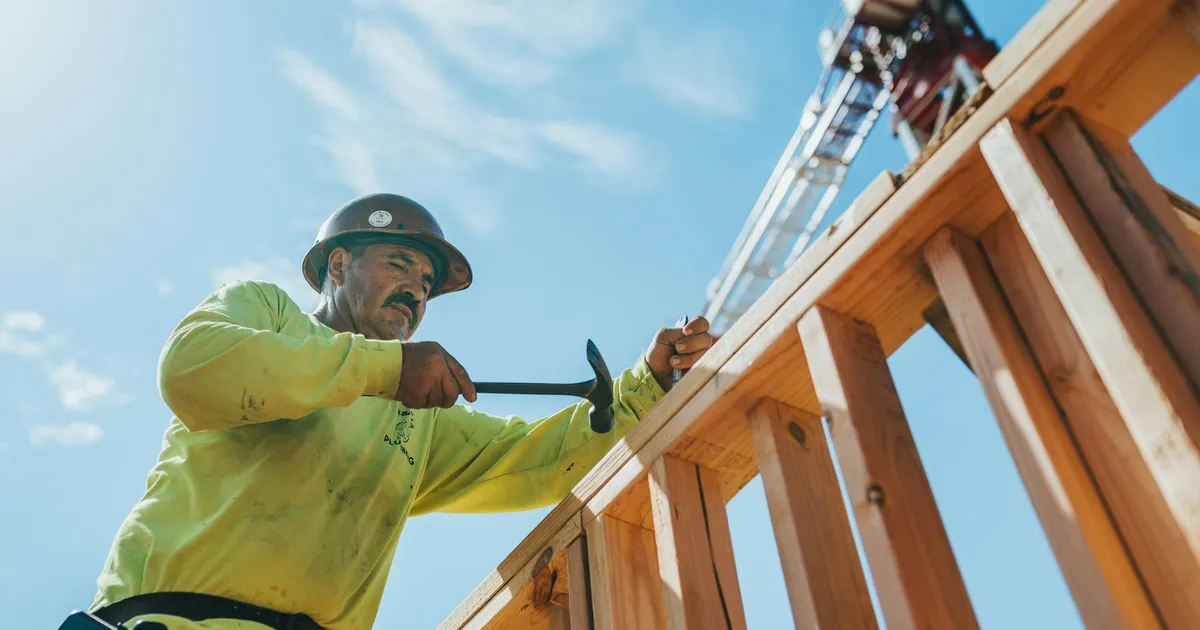 Framer in a hard hat hammering the top plate of a timber-framed wall